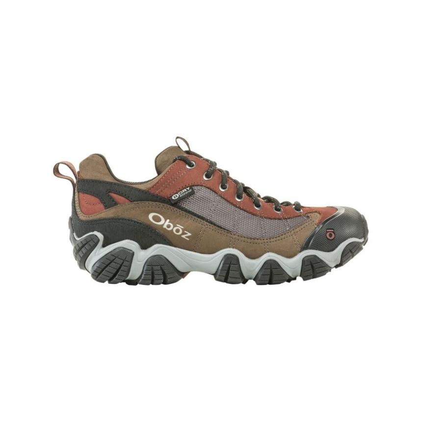 Oboz Men's Firebrand II Low Waterproof-Earth