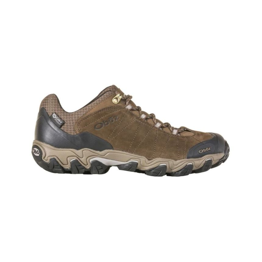 Oboz Men's Bridger Low Waterproof-Canteen