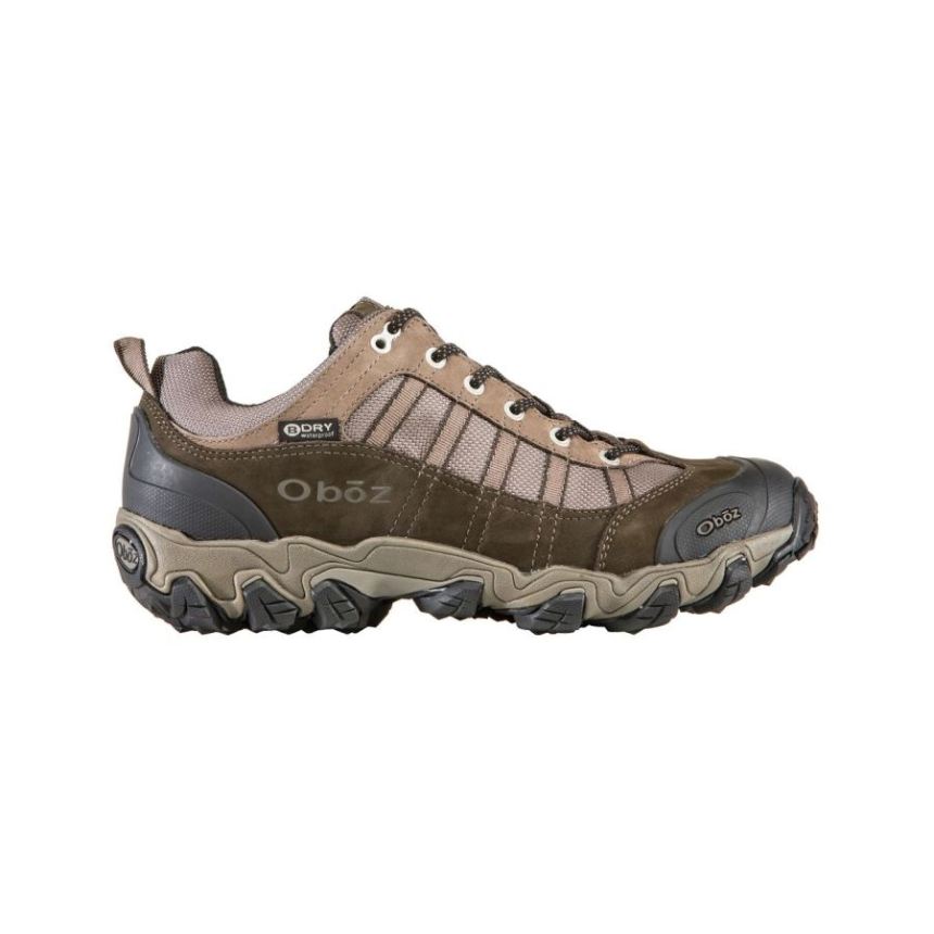 Oboz Men's Tamarack Low Waterproof-Bungee